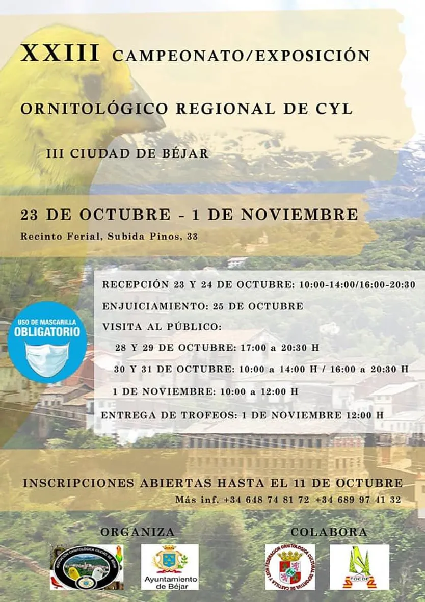 cartel concurso ornitologia