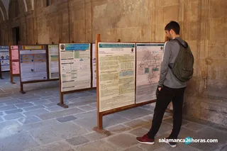 Talleres simultáneos de Psicología de la Sexualidad de la UPSA 17