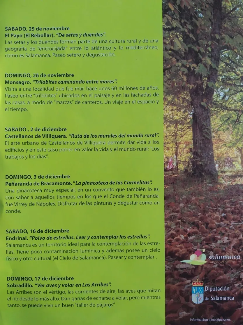 Programa 1000 Otoños