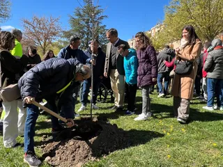 Nuevo 'Bosque de la Inclusión' en la Prosperidad