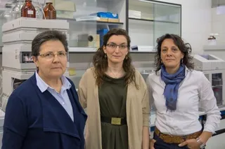 Investigadoras de la USAL alertan sobre la presencia de plaguicidas y metales pesados en propóleos procesados comerciales