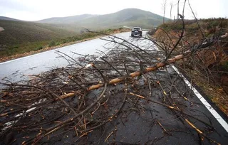 Árboles caídos en la carretera de Serradilla del Llano(Salamanca) por el fuerte viento. Foto Vicente/ICAL