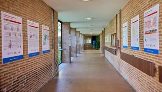 Exposición de intoxicaciones alimentarias en la Facultad de Farmacia