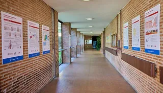 Exposición de intoxicaciones alimentarias en la Facultad de Farmacia