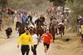 Encierro a caballo y capea en Lumbrales