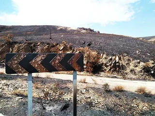 La comarca de Cabrera se manifiesta contra los incendios provocados por la mano del hombre