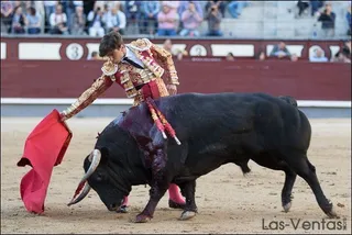 Eduardo Gallo, ovacionado en Las Ventas