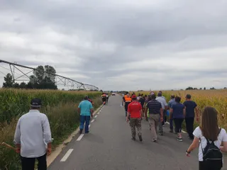 Batida ciudadana (2)