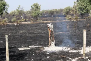 Así han quedado las zonas quemadas durante el incendio de Cipérez | Belén Hurtado