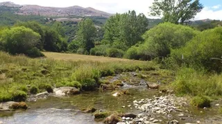 Red Natura 2000 abarca más del 26% del territorio de la comunidad