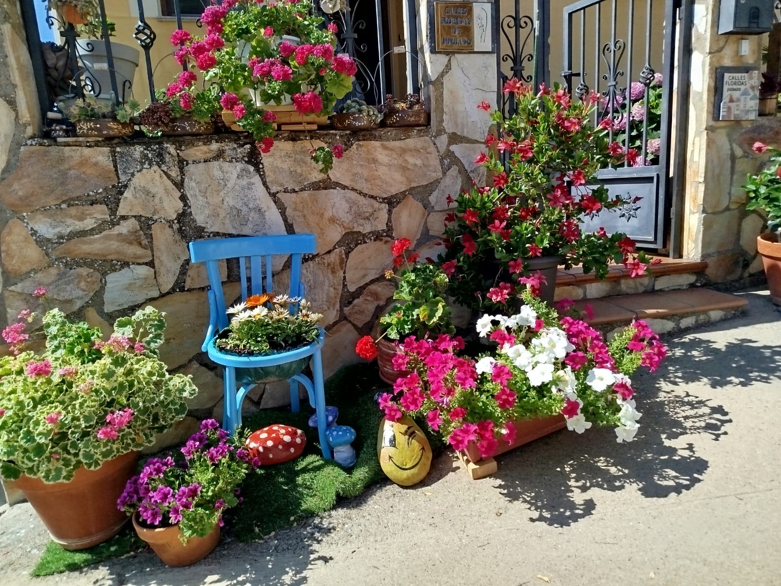 Juzbado Premio Calles Floridas  (1)