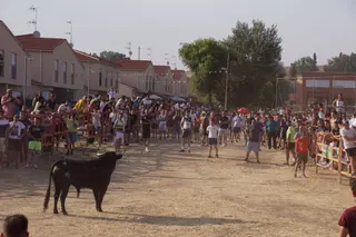 Segundo toro del cajón de Villoruela