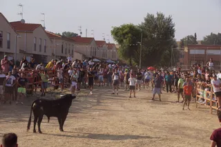 Segundo toro del cajón de Villoruela