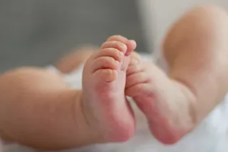 Bebe