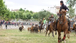 Fiestas de Sancti-Spíritus. Foto Antonio Fiz