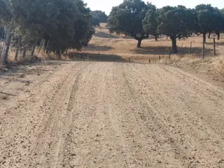 Camino de acceso a la localidad 