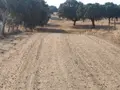 Camino de acceso a la localidad