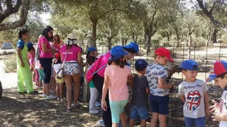 Visita a una granja escuela