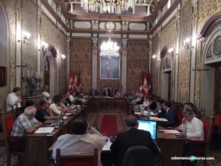 Pleno 31