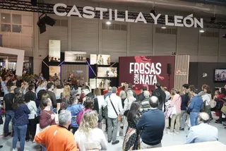 Castilla y León en INTUR 2023