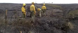 El Plan de Empleo Forestal Local contará con 5,1 millones de euros para este año
