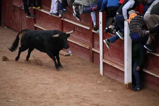 Toro del Aguardiente Ciudad Rodrigo 2025