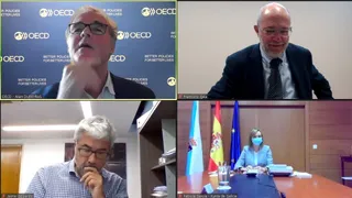 20201202 Pantallazo videoconferencia OCDE 2