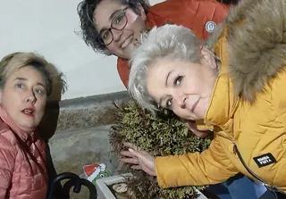 rollán grinch