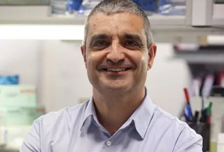 Nuevo hallazgo del Centro de Investigación del Cáncer para el desarrollo de tratamientos más efectivos