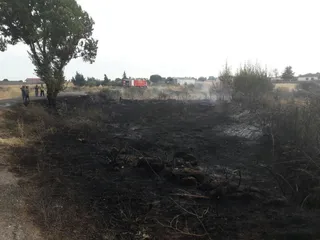 Arde hectárea y media de pasto y maleza en Valdelosa
