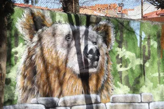 Parque San Juan Bosco Renovado 15