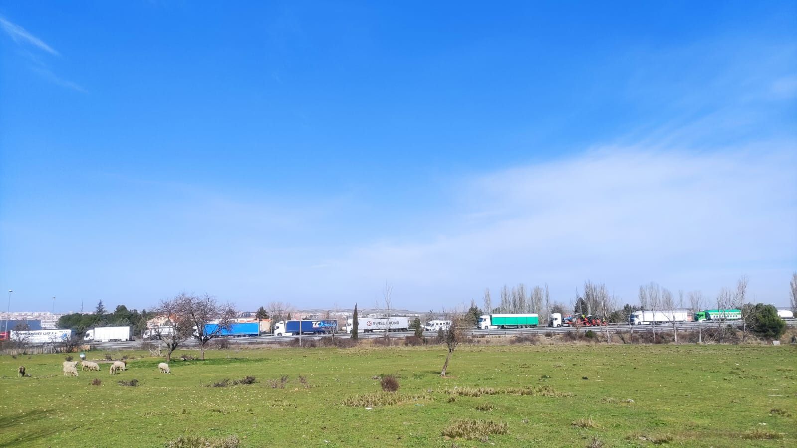 Camiones parados en la A 50 a causa de la tractorada este martes