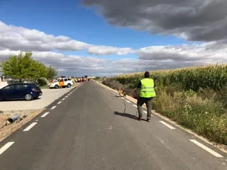 69788376 673840043097523 8243755434758897664 n