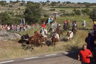 Ledesma calienta motores para los ‘Espantos’ con el reparto de pañuelos y la salida de los toros del Prao de la Villa (11)