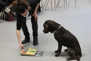 Terapia asistida con perros en el centro de Alzheimer: 'Moka' interactuando con su propietaria Elisa Pérez. Foto S24H