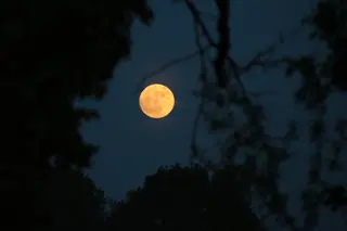 La precesión nodal de la luna hace que se muestre más baja de lo habitual | Foto: Peio García (ICAL)