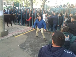 Toro del cajón de Cantalapiedra