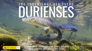 Durienses 169 completo 1024x576