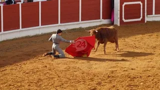 Suspendida la presentación de la Cátedra de Estudios Interdisciplinares en Tauromaquia