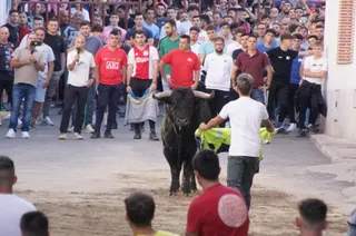 Toro del cajón y capea en Alba de Tormes | Juanes