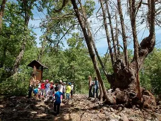 Zona ocupada por la mina romana Las Cavenes en el Cabaco. 