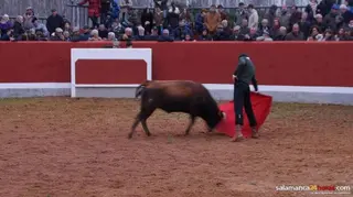 Cuatro salmantinos pasan a la tercera fase del Bolsín Taurino Mirobrigense