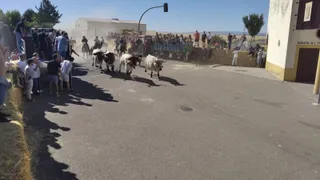 XX Encierro a caballo en Macotera