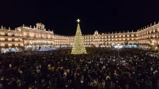 Encendido Navidad 2025. 