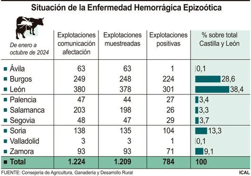 Enfermedad epizoótica en Castilla y León
