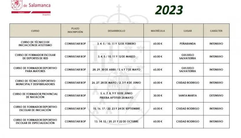 Plan de formación de técnicos deportivos de la Diputación
