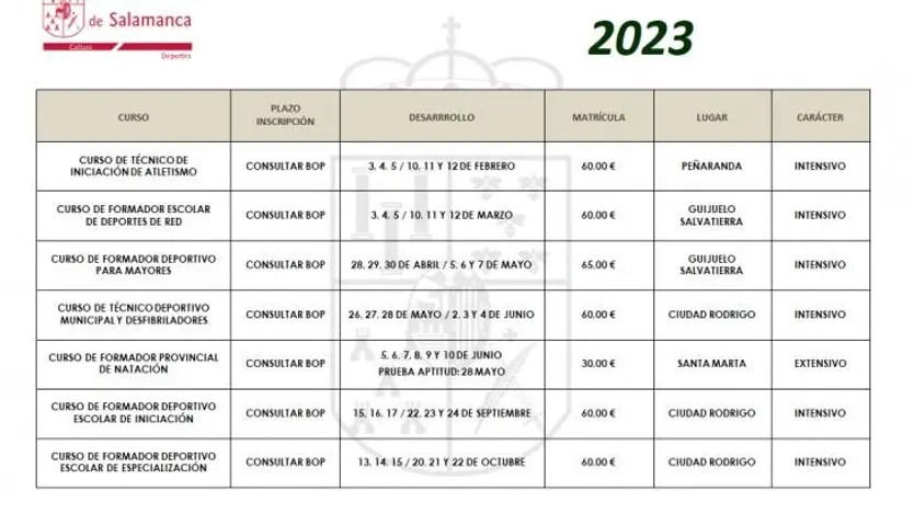 Plan de formación de técnicos deportivos de la Diputación