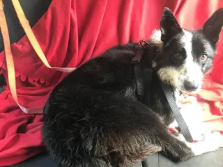 IMG 20180613 WA0038
