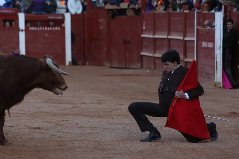 Moisés Fraile en el festival taurino del Sábado en el Carnaval del Toro 2026 de Ciudad Rodrigo