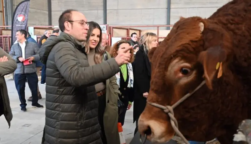 Exposición, subasta y venta de animales en la Feria de San Andrés 2024. Fotos Ayuntamiento de Ciudad Rodrigo (4)